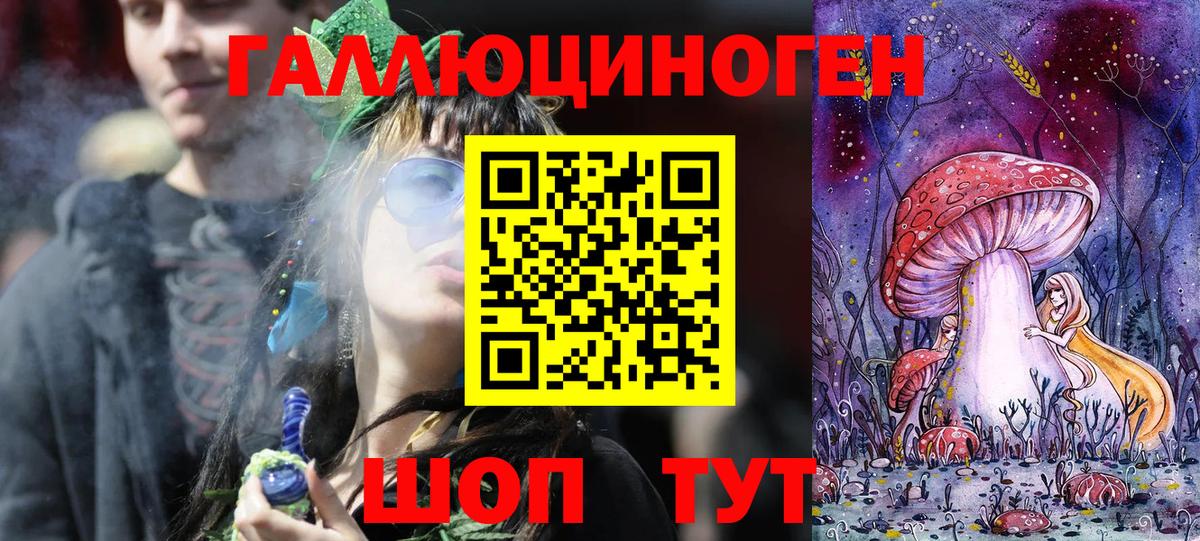Галлюциногенные грибы Psilocybine cubensis  Вход с VPN  Зерноград 