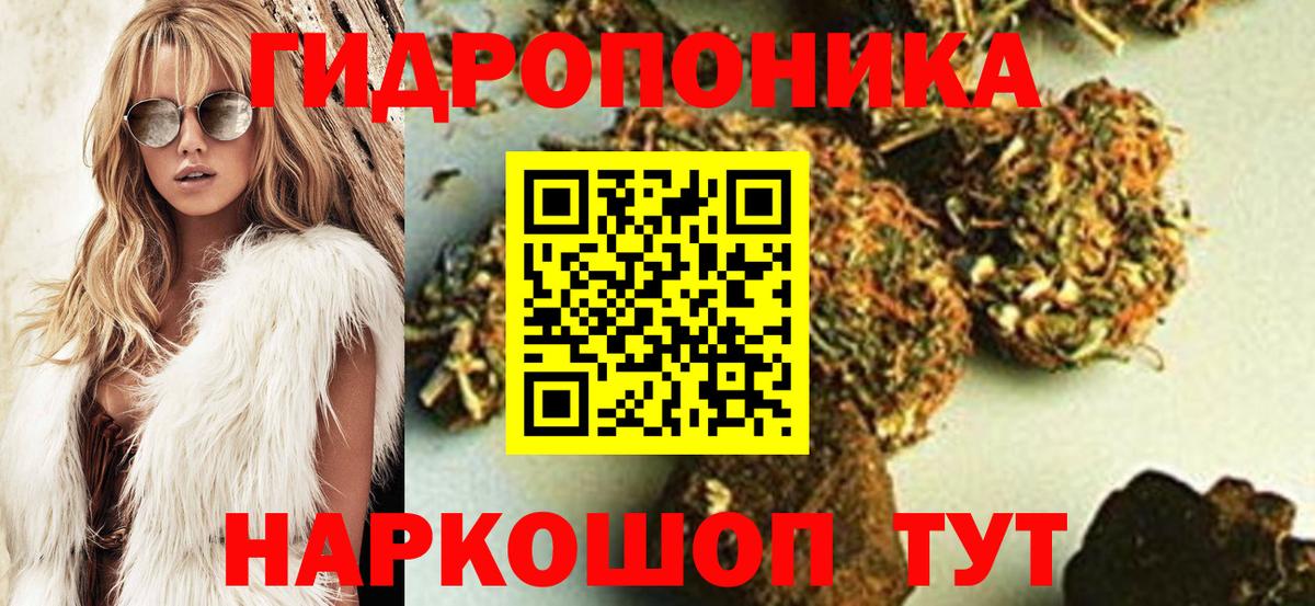 Каннабис индика Зерноград